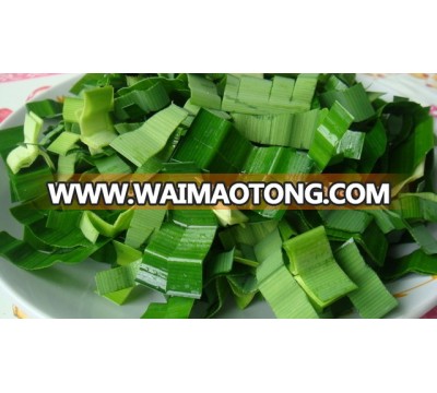 Dried Pandan leaves (100% Natural - Organic Cultivation) (Premium Product of Thailand)