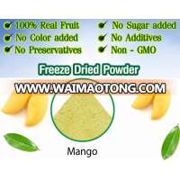 High Quality FD Nam Duk Mai Mango powder : 100% Dried mango powder .