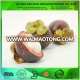 Mangosteen powder / mangosteen tea / mangosteen coffee