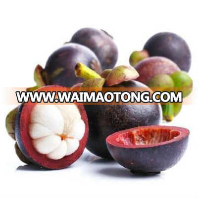 mangosteen powder