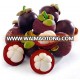 mangosteen powder High Quality Product of Thailand