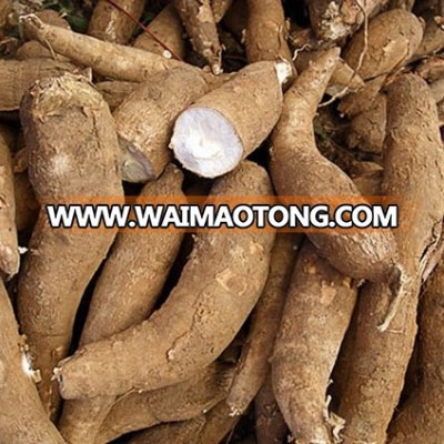 Tapioca Residue pellets Product of Thailand