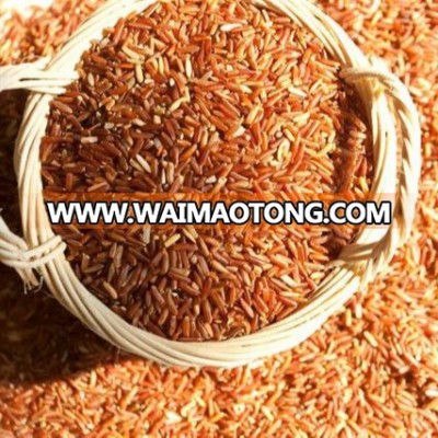 Premium Rice, Thai Rice, Best Quality